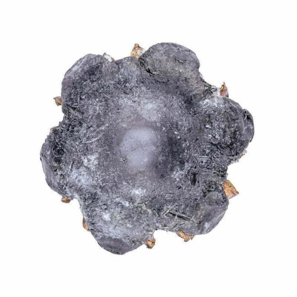 Munição FEDERAL PERSONAL DEFENSE PUNCH .45 AUTO HP 230 Grains – Cx 20 - Imagem 2